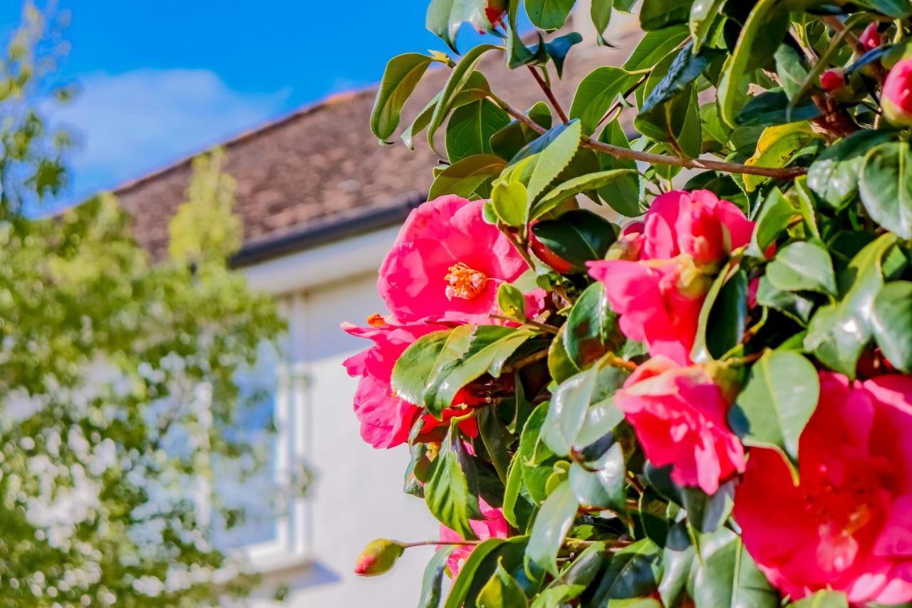 Causey Lodge Superb Comfy Home In Exeter By Staystay Bagian luar foto